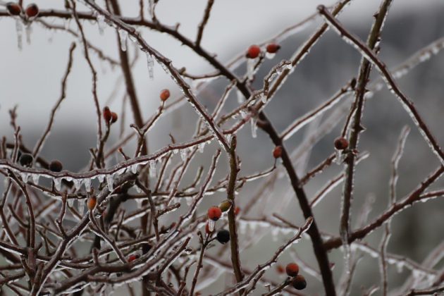 Winter Tief Tristan Kreis Mettmann_c_Andre Volkmann