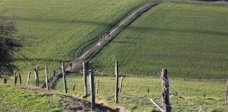 Wanderung Velbert Neviges Frühjahr_c_Andre Volkmann