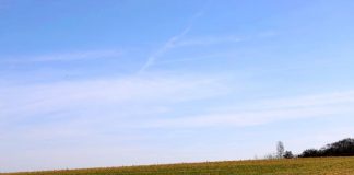 Blauer Himmel, grüne Wiese: Der Frühling macht sich bereits bemerkbar in der Region. Foto: André Volkmann