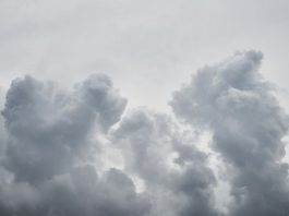 Wetter-Warnung für Teile des Kreises Mettmann Der Deutsche Wetterdienst warnt vor Sturm- und Windböen. Foto: pixabay