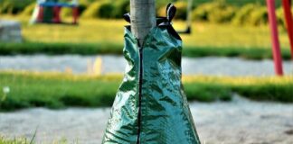 In heißen Sommern benötigen Bäume Schutz vor Austrocknung. Foto: pixabay