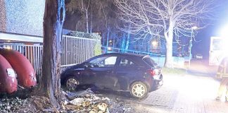 Bei einem erneuten Brand wurde ein Baum beschädigt. Foto: Polizei