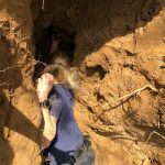 Die Retter suchten an allen Ein- und Ausgängen nach Holly - vergeblich. Foto: Feuerwehr Erkrath
