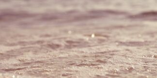 Der Schaum reichert sich laut Bezirksregierung insbesondere in Ruhezonen von Gewässern an. Foto: pixabay