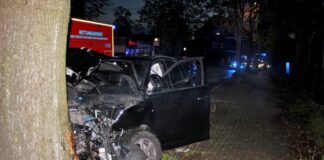 Der Audi kam von der Fahrbahn ab und prallte frontal gegen einen Baum. Foto: Polizei