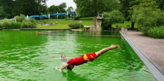 DLRG-Rettungsschwimmer Armin Co springt kopfüber ins Wasser, um Bürgermeisterin Sandra Pietschmann - natürlich nur fürs Foto- zu retten. Foto: Kreisstadt Mettmann