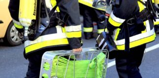 Die Essener Feuerwehr rückte an die Nierenhofer Straße aus. Symbolfoto: Filzen/Feuerwehr Essen