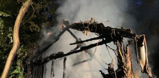 Das Waldhaus ist vollständig niedergebrannt. Foto: Polizei