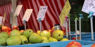 Auf dem Wochenmarkt gelten Hygiene- und Sicherheitsregeln. Foto: Volkmann