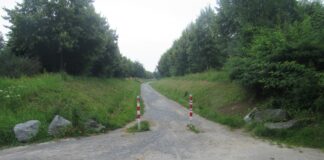 Schotter auf dem Radweg führte zu dem Sturz. Foto: pixabay