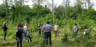 Im letzten zusätzlich angebotenem Termin gingen die Teilnehmenden nun mit der Dozentin Mona Treude und dem zuständigen Beratungsförster Volker Steinhage in den Wald in Ratingen. Foto: Ingo Pichler