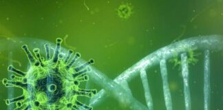 In Essen dominiert die Delta-Variante des Coronavirus. Foto: pixabay