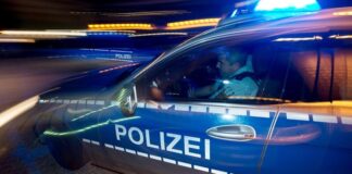 Eine Polizeistreife fährt zu einem Einsatz. Foto: Patrick Seeger/dpa/Symbolbild