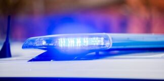 Das Blaulicht eines Polizeifahrzeuges leuchtet. Foto: Christoph Soeder/dpa/Symbolbild