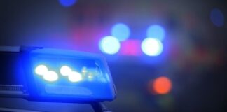 Ein Blaulicht leuchtet auf dem Dach eines Polizeifahrzeugs. Foto: Karl-Josef Hildenbrand/dpa/Symbolbild