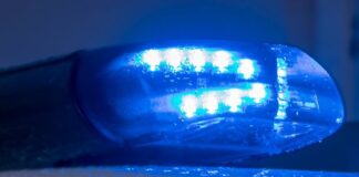 Ein Blaulicht leuchtet auf dem Dach eines Polizeiwagens. Foto: Jens Büttner/dpa-Zentralbild/ZB/Symbolbild