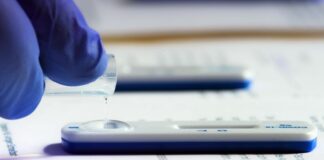 Die Testflüssigkeit eines Corona-Schnelltests wird ausgewertet. Foto: Soeren Stache/dpa/Symbolbild
