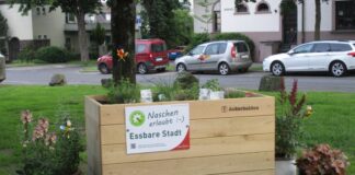 Die Hochbeete müssen öffentlich zugänglich sein, um gefördert zu werden. Foto: Stadt Ratingen