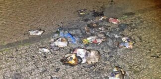 Die Papiertonne brannte vollständig nieder. Foto: Polizei