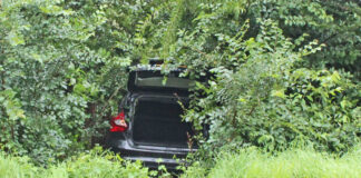 Das Auto verschwand nahezu vollständig im Grünen. Foto: Polizei