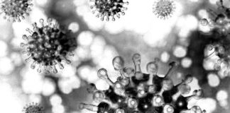 Die Stadtverwaltung hat über Todesfälle in Verbindung mit dem Coronavirus informiert. Foto: pixabay/symbolbild