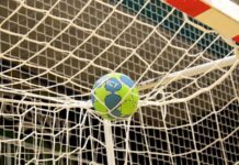 Ein Handball liegt auf einem Tornetz. Foto: pixabay/symbolbild