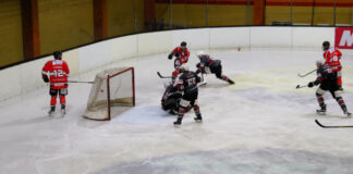 Die Ice Aliens haben gegen Troisdorf gewonnen. Foto: Ice Aliens
