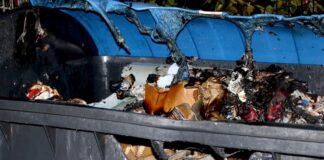 Der Altpapiercontainer wurde erheblich beschädigt. Foto: Polizei