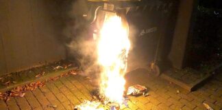 Erneut ist es zu einem Brand an einem Müllcontainer gekommen. Foto: Polizei