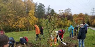 Engagierte Mettmanner beim Pflanzen. Foto: Bürgerverein Metzkausen