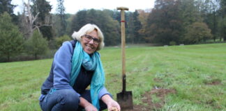 Abfallberaterin Helga Willmes-Sternberg pflanzt Frühblüher für das kommende Frühjahr. Foto: Stadt Erkrath
