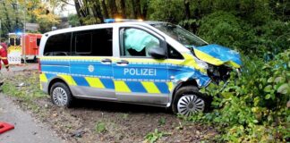 Der Polizeiwagen landete im Gebüsch. Foto: Polizei