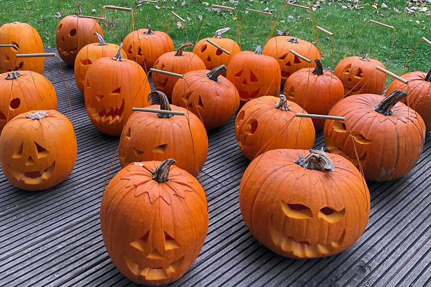 Der Leoclub verkauft Halloween-Kürbisse für einen guten Zweck. Foto: privat