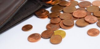 Cent-Münzen liegen vor einer Geldbörse. Foto: pixabay/symbolbild