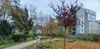 Bäume im Wülfrather Generationenpark am Weg zum Altenheim. Foto: Kling/Archiv