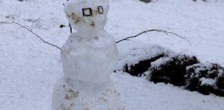 Ein Schneemann steht auf einem Grundstück. Foto: Volkmann/Archiv