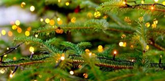 An einem Weihnachtsbaum leuchten LED-Lampen. Foto: pixabay/symbolbild