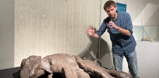 Kurator Rick Springer führt durch die Ausstellung. Foto: Neanderthal-Museum
