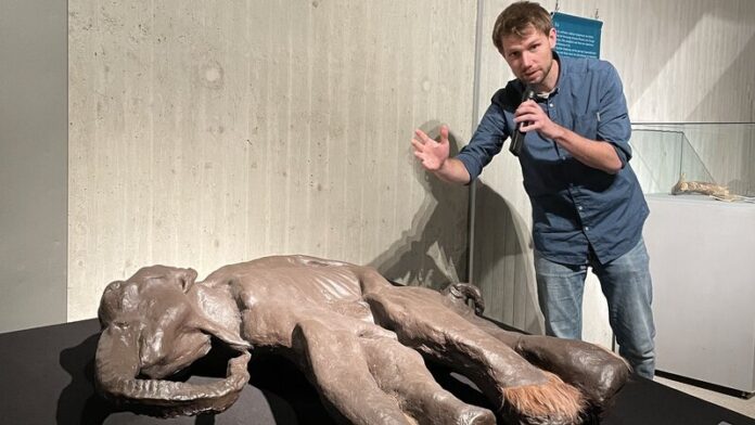 Kurator Rick Springer führt durch die Ausstellung. Foto: Neanderthal-Museum
