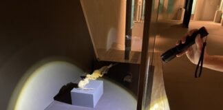 https://e-shop.neanderthal.de/de/guided-tours/6638