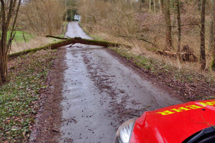 Ein Baum war auf die Straße Wusten gestürzt. Foto: Feuerwehr Heiligenhaus