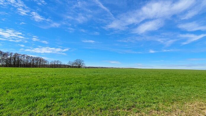 Die Kleine Höhe an der Grenze zwischen Wuppertal und Velbert-Neviges ist ein beliebtes Gebiet für Spaziergänger - vor allem bei schönem Wetter. Foto: Volkmann