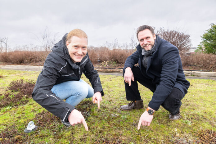 Auf dem Rathaus wurde eine Dachbegrünung bereits umgesetzt: Das zeigen der städtische Klimaschutzmanager Jens Hecker und Florian Bublies, Energieberater der Verbraucherzentrale NRW. Foto: VZ NRW