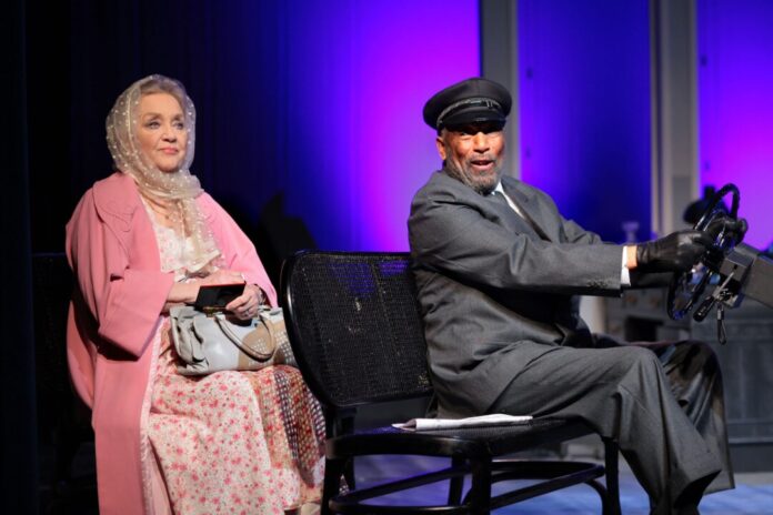 Szene aus dem Theaterstück „Miss Daisy und ihr Chauffeur“. Foto: Dietrich Dettmann