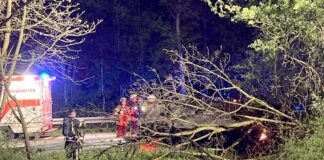 Das Auto liegt unter Ästen auf dem Dach. Foto: FW Mülheim an der Ruhr