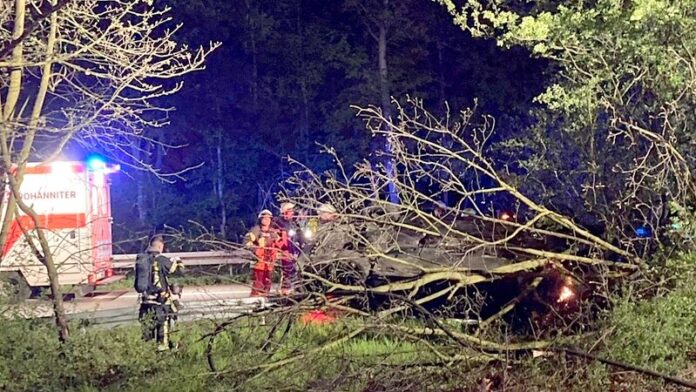 Das Auto liegt unter Ästen auf dem Dach. Foto: FW Mülheim an der Ruhr