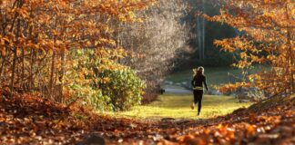 Der Wald ist das "Fitnessstudio" direkt vor der Tür. Foto: pixabay