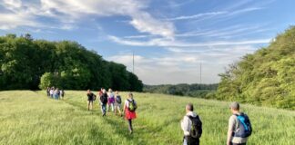 Wanderer sind unterwegs durch die Natur. Foto: Michael Jendrysek