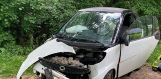 Der Smart kollidierte mit einem Baum. Foto: Polizei