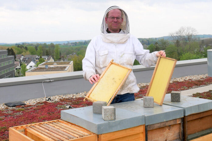 Volker Wieschollek stellte die Bienenkörbe auf dem Dach des Hotels auf. Foto: Pro Mobil